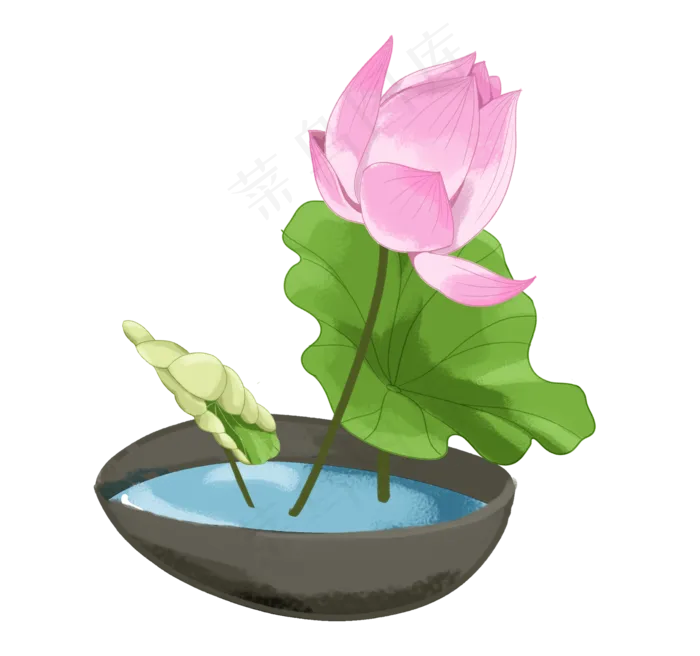 花朵荷花莲花(2133X2000(DPI:300))psd模版下载