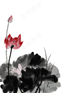 水墨水彩手绘荷花