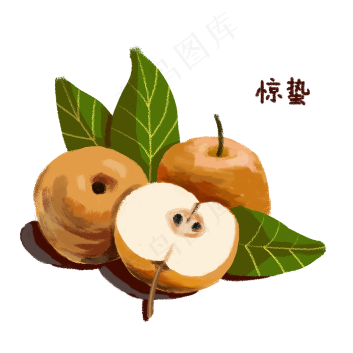 惊蛰梨子和叶子PNG,免抠元素