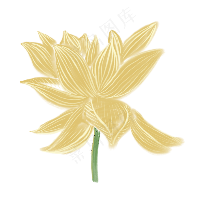 黄色花朵线性荷花绘画(2000X2000(DPI:132))psd模版下载