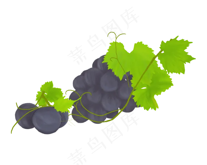 葡萄水果葡萄串PNG(2500X2000(DPI:300))psd模版下载