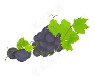 葡萄水果葡萄串PNG