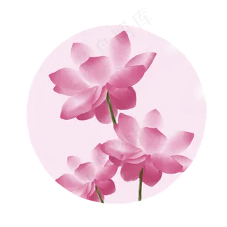 手绘中国风夏日荷花