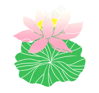 荷花荷叶卡通植物