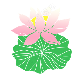 荷花荷叶卡通植物