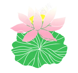 荷花荷叶卡通植物