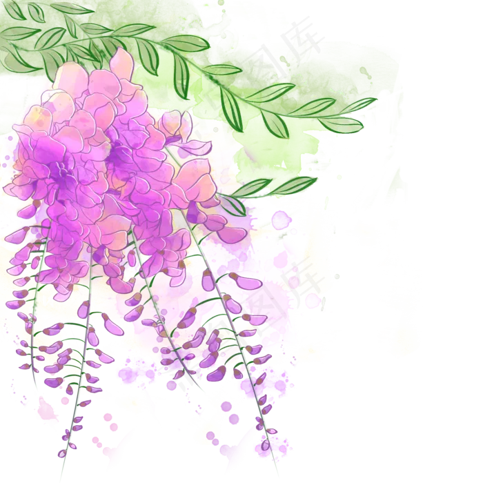 水彩紫色花藤(2000X2000(DPI:300))psd模版下载