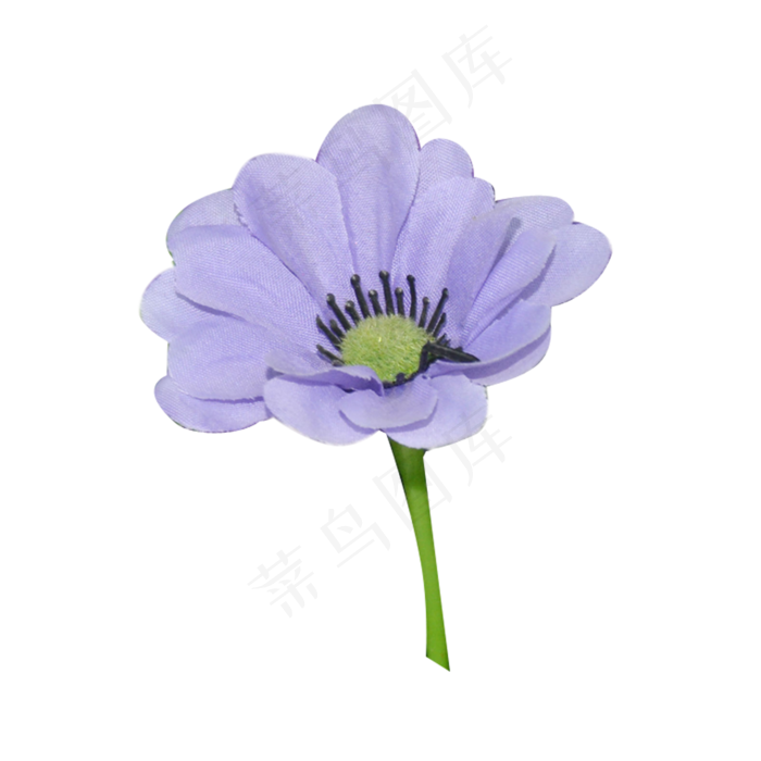 一朵美丽的紫蓝色花朵