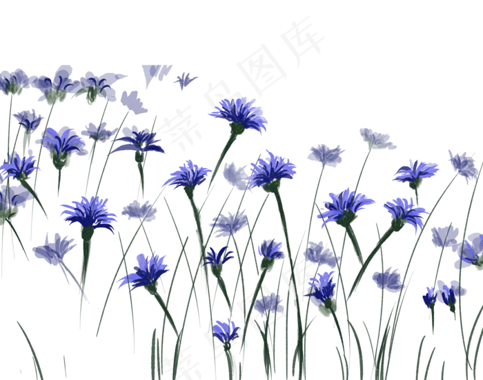 春天美丽的花梅