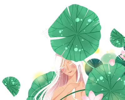 女孩荷叶荷花