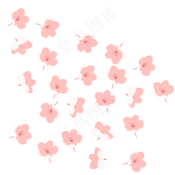 粉色樱花节樱花盛开