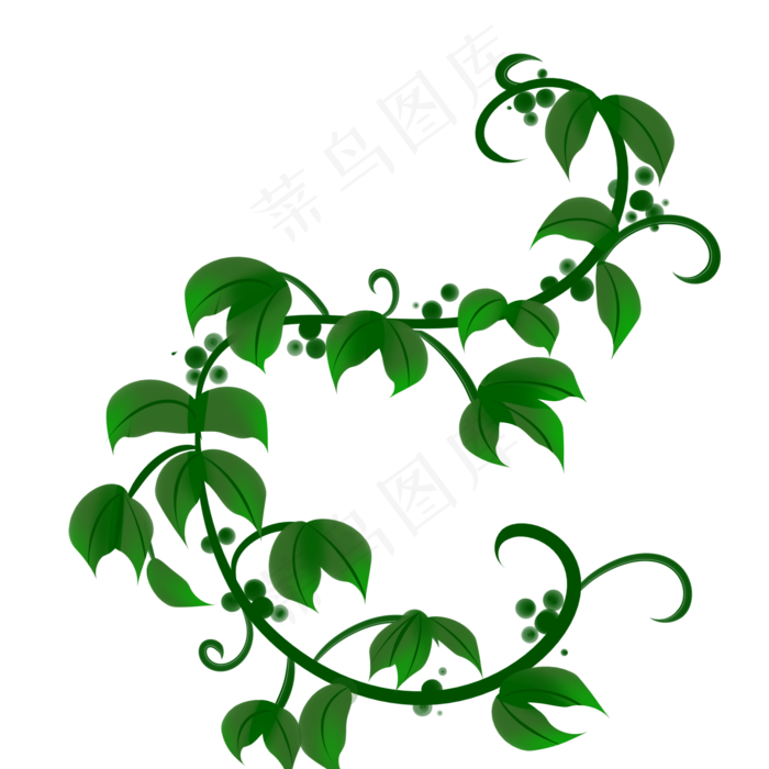 水彩绿色藤蔓植物(2000X2000(DPI:300))psd模版下载