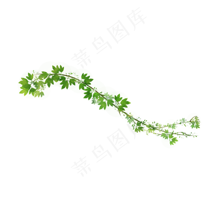 小清新藤蔓树叶免抠(2000X2000(DPI:300))psd模版下载
