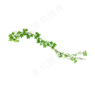 小清新藤蔓树叶免抠