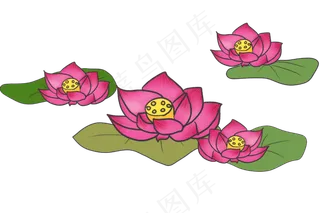 四朵荷花荷叶插图