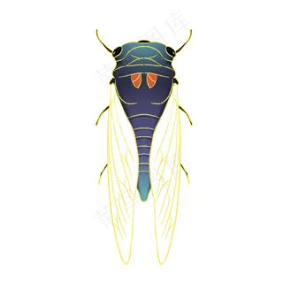 夏日国潮风知了