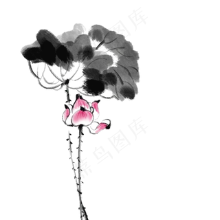 水墨中国风荷花