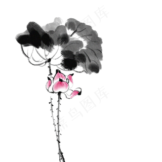 水墨中国风荷花