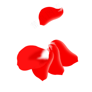 单个玫瑰花瓣与叠放在一起的玫瑰