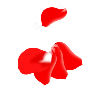 单个玫瑰花瓣与叠放在一起的玫瑰