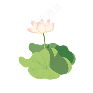 荷花小清新扁平粉色荷花