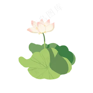 荷花小清新扁平粉色荷花