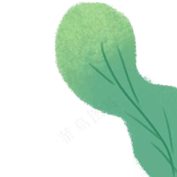 绿叶春季自然植物