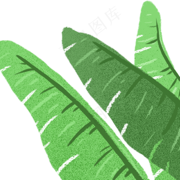 绿叶春季自然植物