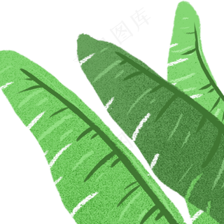 绿叶春季自然植物