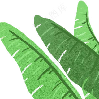 绿叶春季自然植物