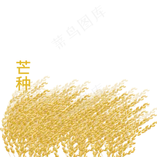 芒种稻穗PNG素材