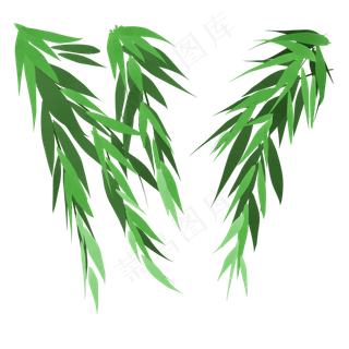 春风里的绿色柳叶