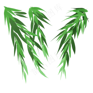 春风里的绿色柳叶