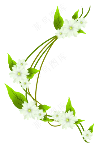 唯美白色花朵花藤,免抠元素