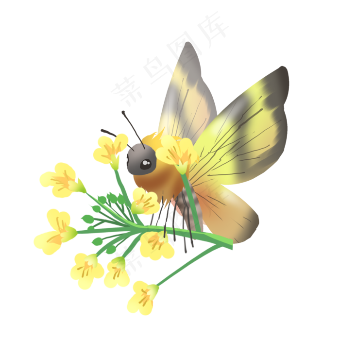 黄色油菜花地插画,免抠元素