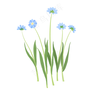 手绘植物小清新蓝色花朵