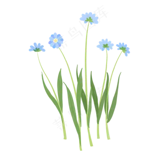 手绘植物小清新蓝色花朵