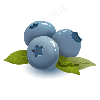 三颗新鲜的蓝莓