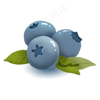 三颗新鲜的蓝莓