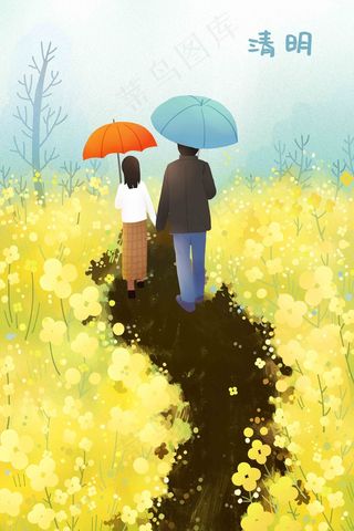 春天清明节踏青清明节油菜花打伞下雨春雨