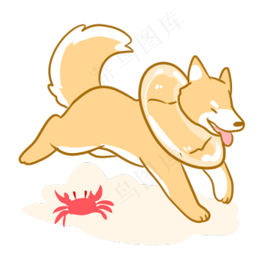 去海边的柴犬