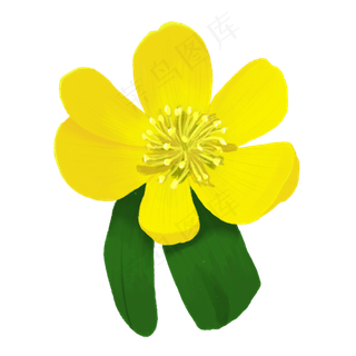 手绘阳光清爽小清新装饰小黄花