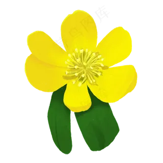 手绘阳光清爽小清新装饰小黄花