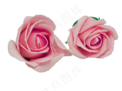 情人节浪漫玫瑰