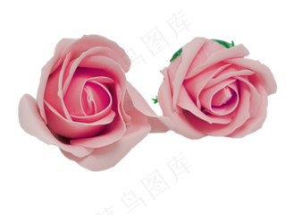 情人节浪漫玫瑰