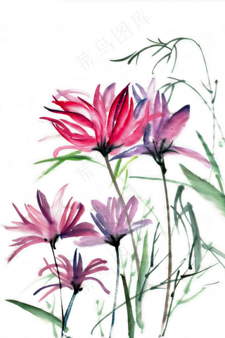 盛开的花朵水墨画PNG免抠素材