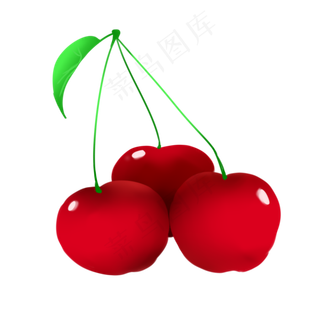 采摘茂盛的水果樱桃