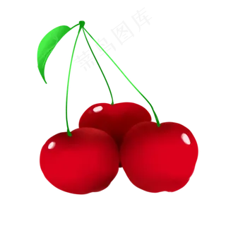采摘茂盛的水果樱桃