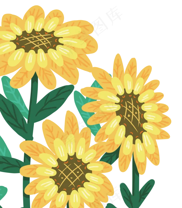 向日葵花朵(1661X1903(DPI:300))psd模版下载