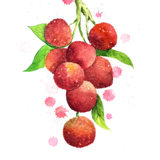 荔枝甜美妃子笑岭南PNG鲜果